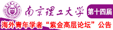 求大鸡吧插逼逼视频南京理工大学第十四届海外青年学者紫金论坛诚邀海内外英才！